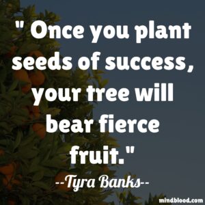 Once you plant seeds of success, your tree will bear fierce fruit