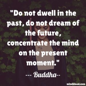 Do not dwell in the past, do not dream of the future, concentrate the mind on the present moment.