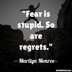 Fear is stupid. So are regrets.