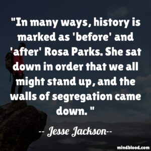 In many ways, history is marked as 'before' and 'after' Rosa Parks. She sat down in order that we all might stand up, and the walls of segregation came down.