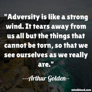 Adversity is like a strong wind. It tears away from us all but the things that cannot be torn, so that we see ourselves as we really are.