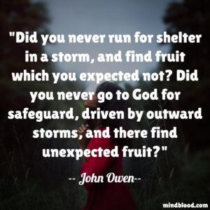 Did you never run for shelter in a storm, and find fruit which you expected not? Did you never go to God for safeguard, driven by outward storms, and there find unexpected fruit?