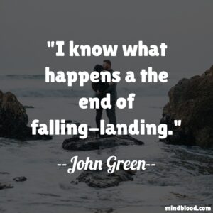 I know what happens a the end of falling-landing.