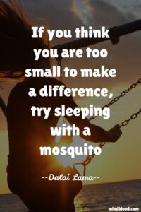 If you think you are too small to make a difference, try sleeping with a mosquito