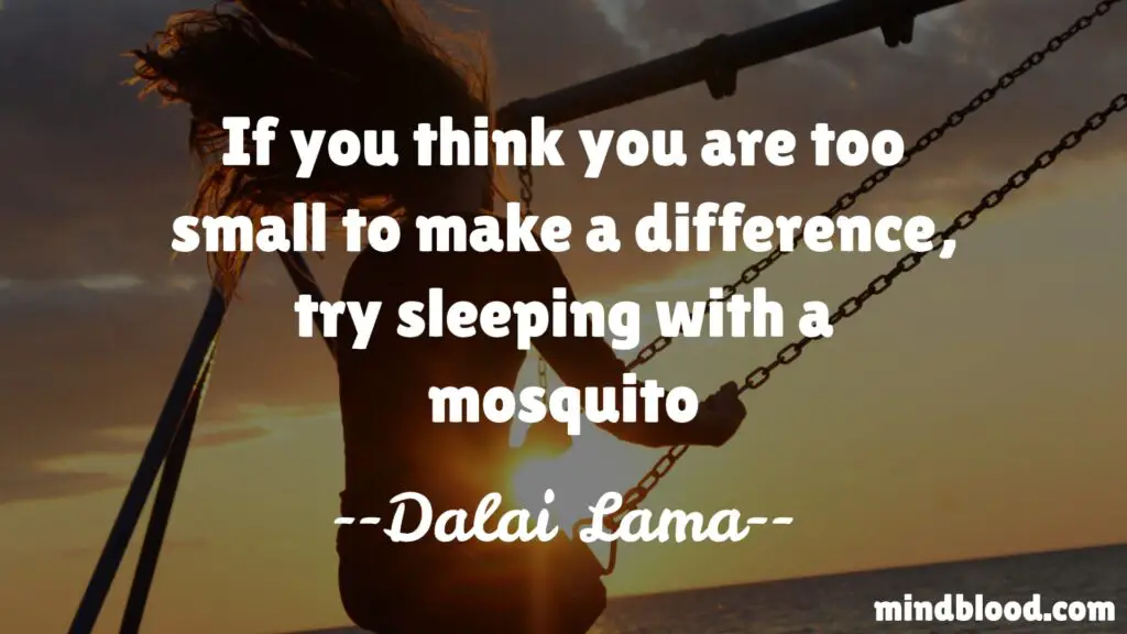 If you think you are too small to make a difference, try sleeping with a mosquito - Dalai Lama