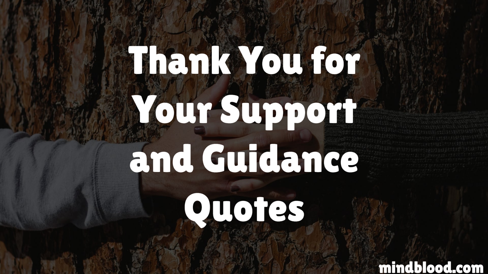 Thank You For Your Support And Guidance Quotes Thank You For Your Support And Guidance Quotes