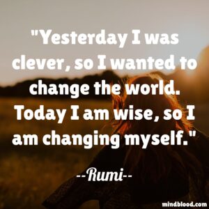 Yesterday I was clever, so I wanted to change the world. Today I am wise, so I am changing myself