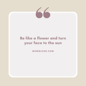 Be like a flower and turn your face to the sun