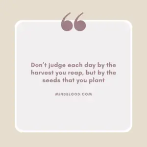 Don’t judge each day by the harvest you reap, but by the seeds that you plant