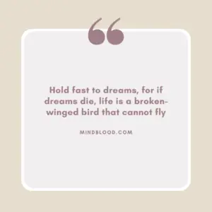 Hold fast to dreams, for if dreams die, life is a broken-winged bird that cannot fly