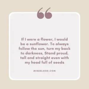 If I were a flower, I would be a sunflower. To always follow the sun, turn my back to darkness, Stand proud, tall and straight even with my head full of seeds