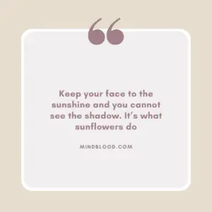 Keep your face to the sunshine and you cannot see the shadow. It’s what sunflowers do