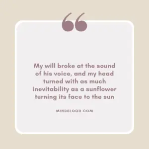 My will broke at the sound of his voice, and my head turned with as much inevitability as a sunflower turning its face to the sun