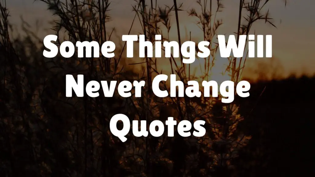 Some Things Will Never Change Quotes