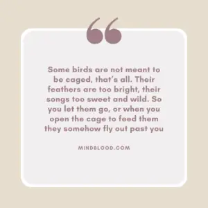 Some birds are not meant to be caged, that’s all. Their feathers are too bright, their songs too sweet and wild. So you let them go, or when you open the cage to feed them they somehow fly out past you