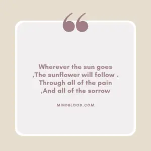 Wherever the sun goes ,The sunflower will follow . Through all of the pain ,And all of the sorrow