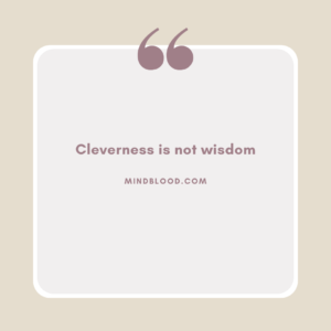 Cleverness is not wisdom