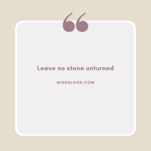 Leave no stone unturned