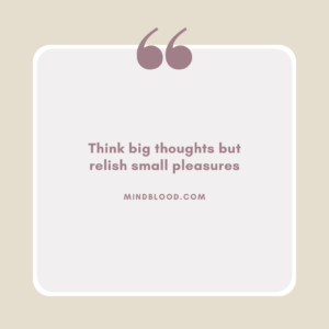 Think big thoughts but relish small pleasures