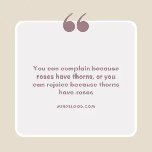 You can complain because roses have thorns, or you can rejoice because thorns have roses