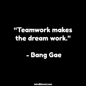 “Teamwork makes the dream work.” - Bang Gae